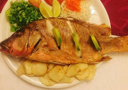 Pescado entero pargo rojo - Imagen principal